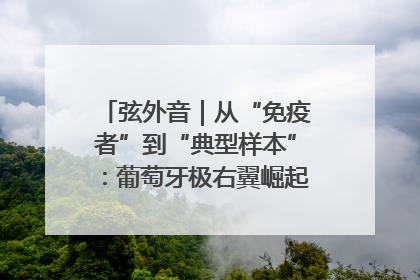 弦外音｜从“免疫者”到“典型样本”：葡萄牙极右翼崛起背后的欧洲困局