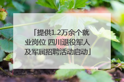 提供1.2万余个就业岗位 四川退役军人及军属招聘活动启动