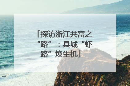 探访浙江共富之“路”：县城“虾路”焕生机