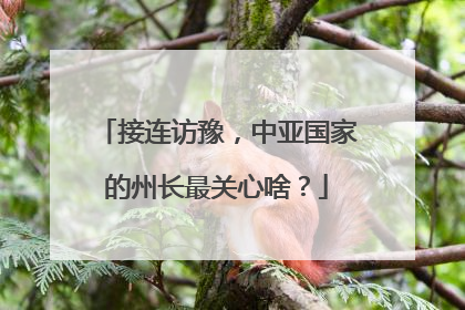 接连访豫，中亚国家的州长最关心啥？