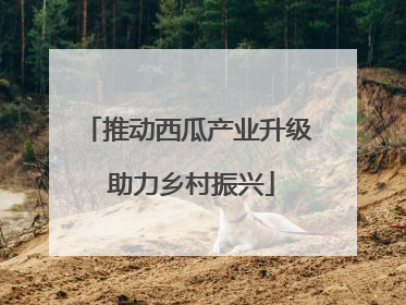 推动西瓜产业升级 助力乡村振兴