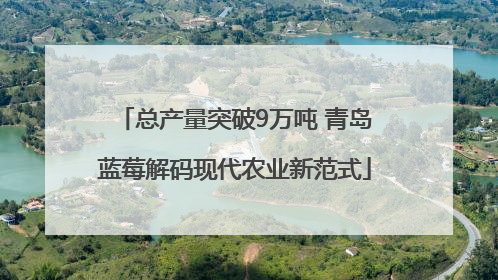 总产量突破9万吨 青岛蓝莓解码现代农业新范式