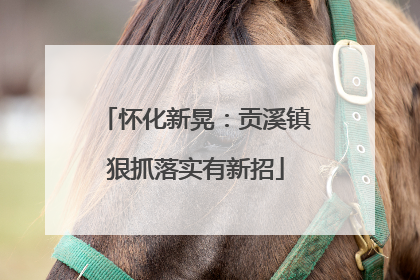 怀化新晃：贡溪镇狠抓落实有新招