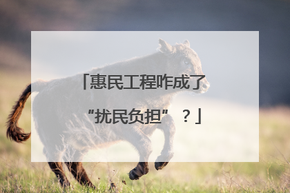 惠民工程咋成了“扰民负担”？