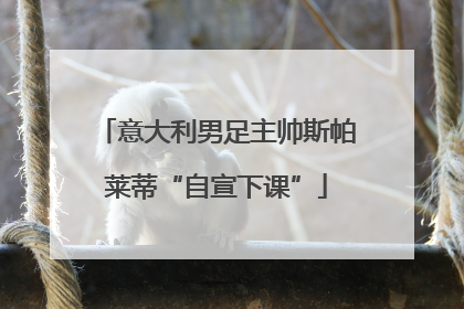 意大利男足主帅斯帕莱蒂“自宣下课”