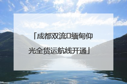 成都双流⇌缅甸仰光全货运航线开通