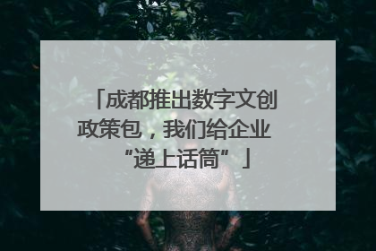 成都推出数字文创政策包，我们给企业“递上话筒”