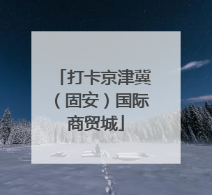 打卡京津冀（固安）国际商贸城