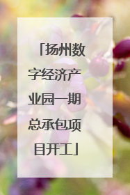 扬州数字经济产业园一期总承包项目开工