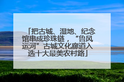 把古城、湿地、纪念馆串成珍珠链，“鲁风运河”古城文化廊道入选十大最美农村路