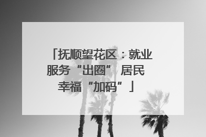 抚顺望花区：就业服务“出圈” 居民幸福“加码”