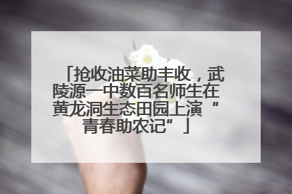 抢收油菜助丰收，武陵源一中数百名师生在黄龙洞生态田园上演“青春助农记”