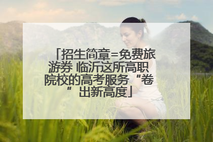 招生简章=免费旅游券 临沂这所高职院校的高考服务“卷”出新高度