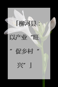 柳河县：以产业“旺”促乡村“兴”