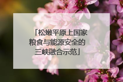松嫩平原上国家粮食与能源安全的三峡融合示范