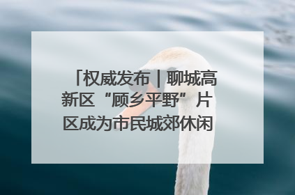 权威发布｜聊城高新区“顾乡平野”片区成为市民城郊休闲全新目的地