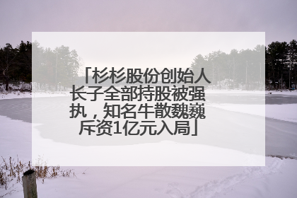 杉杉股份创始人长子全部持股被强执，知名牛散魏巍斥资1亿元入局