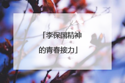 李保国精神的青春接力