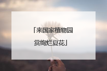 来国家植物园 赏绚烂夏花