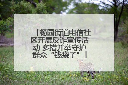 杨园街道电信社区开展反诈宣传活动 多措并举守护群众“钱袋子”