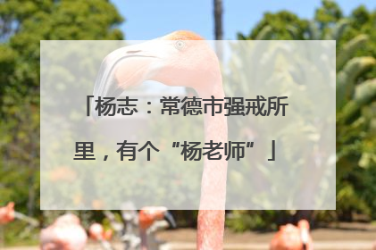 杨志：常德市强戒所里，有个“杨老师”