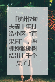 杭州7旬夫妻十年打造小区“百果园”，两棵猕猴桃树结出上千个果子