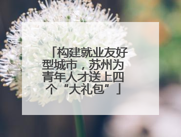 构建就业友好型城市，苏州为青年人才送上四个“大礼包”