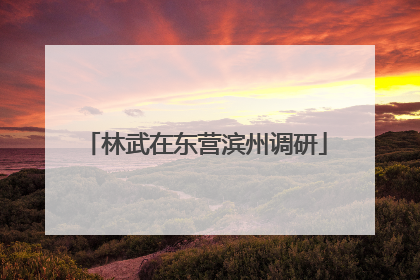 林武在东营滨州调研