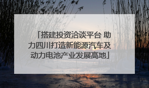 搭建投资洽谈平台 助力四川打造新能源汽车及动力电池产业发展高地