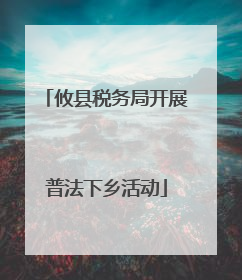 攸县税务局开展普法下乡活动