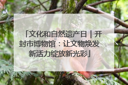 文化和自然遗产日｜开封市博物馆：让文物焕发新活力绽放新光彩