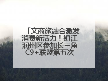 文商旅融合激发消费新活力！镇江润州区参加长三角C9+联盟第五次联席会议
