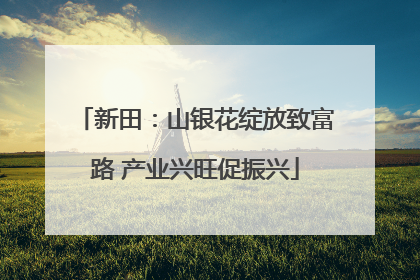 新田：山银花绽放致富路 产业兴旺促振兴