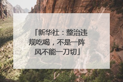 新华社：整治违规吃喝，不是一阵风不能一刀切