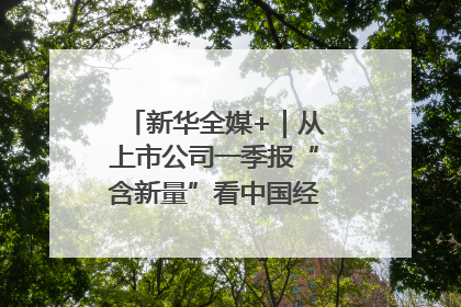 新华全媒+｜从上市公司一季报“含新量”看中国经济发展向“新”