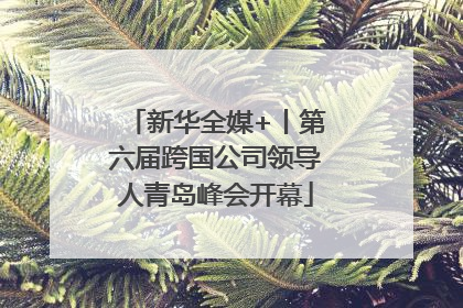 新华全媒+丨第六届跨国公司领导人青岛峰会开幕