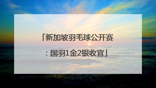 新加坡羽毛球公开赛：国羽1金2银收官