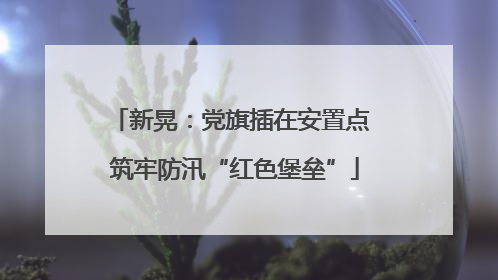 新晃：党旗插在安置点 筑牢防汛“红色堡垒”
