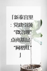 新泰宫里:党建引领“微治理” 点亮基层“网格红”