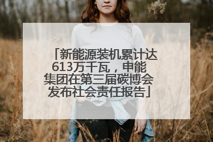 新能源装机累计达613万千瓦，申能集团在第三届碳博会发布社会责任报告