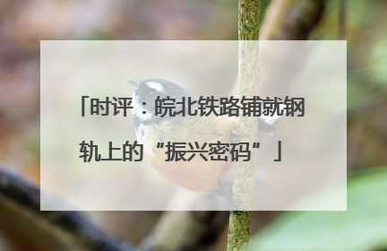 时评：皖北铁路铺就钢轨上的“振兴密码”