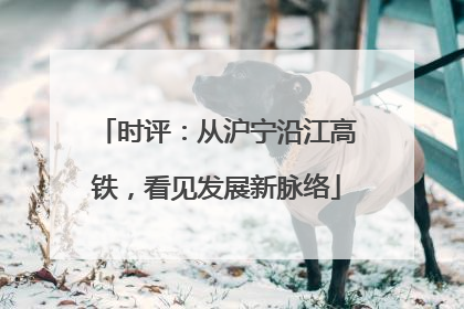 时评：从沪宁沿江高铁，看见发展新脉络