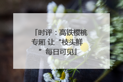 时评：高铁樱桃专厢 让“枝头鲜”每日可见