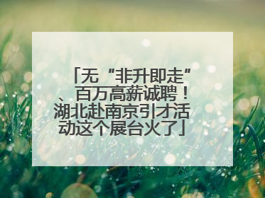 无“非升即走”、百万高薪诚聘！湖北赴南京引才活动这个展台火了