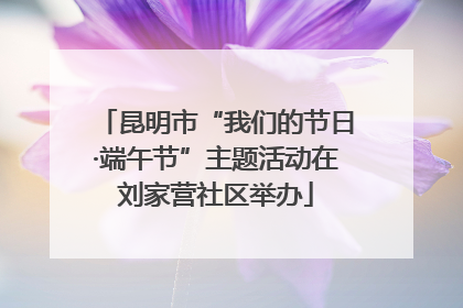 昆明市“我们的节日·端午节”主题活动在刘家营社区举办