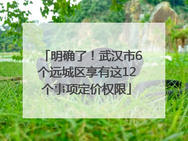 明确了！武汉市6个远城区享有这12个事项定价权限