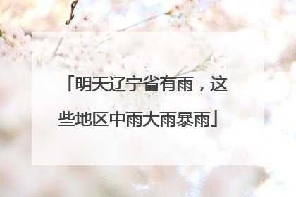 明天辽宁省有雨，这些地区中雨大雨暴雨