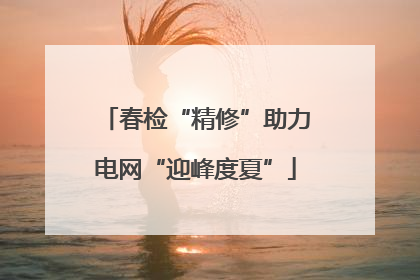 春检“精修”助力电网“迎峰度夏”