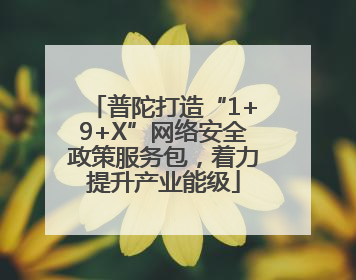 普陀打造“1+9+X”网络安全政策服务包，着力提升产业能级