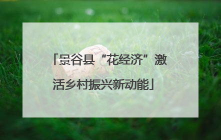 景谷县“花经济”激活乡村振兴新动能